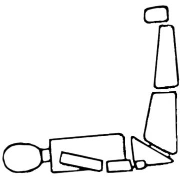 viparta