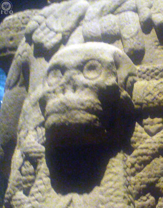 La de falda de serpientes. Coatlicue. Tonantzin