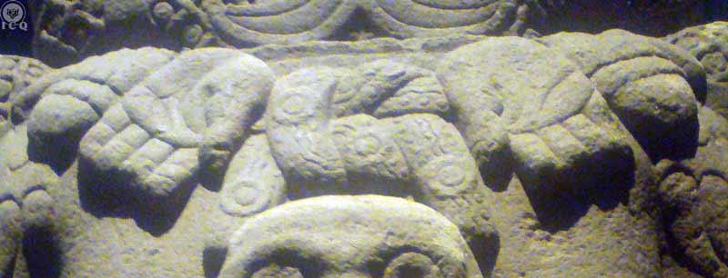 La de falda de serpientes. Coatlicue. Hombros