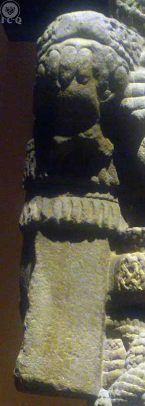 La de falda de serpientes. Coatlicue. Brazos