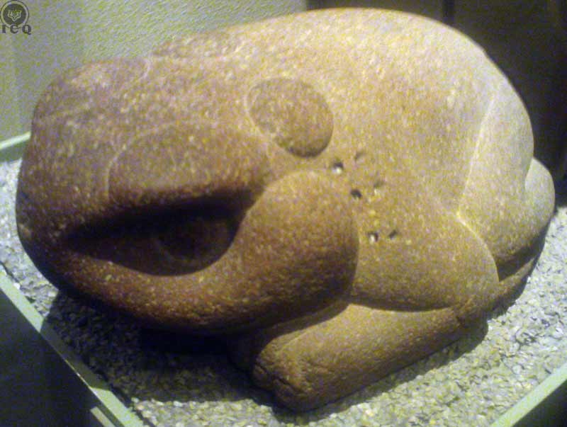 Rana (Museo de Antropología e Historia México)