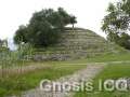 Cacaxtla 228