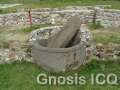Cacaxtla 239