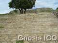 Cacaxtla 254