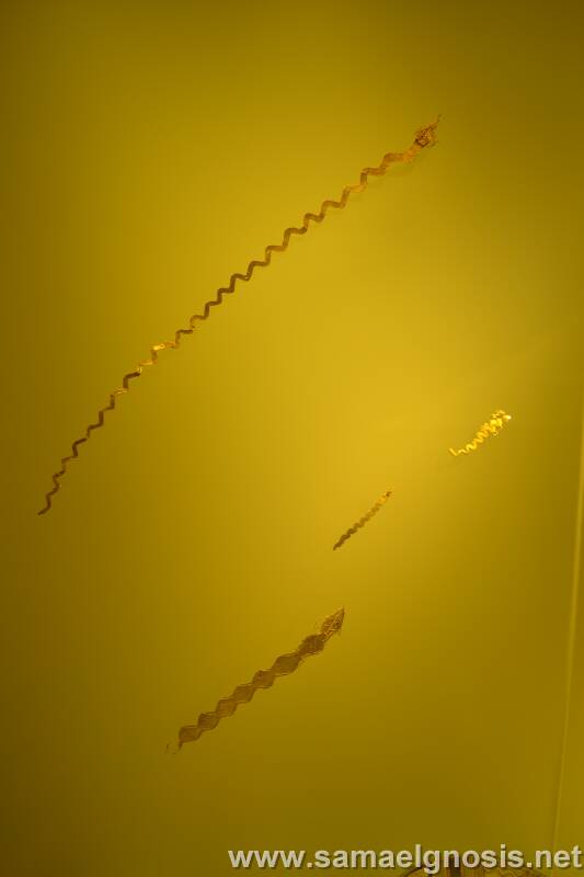 Museo del Oro Foto 042