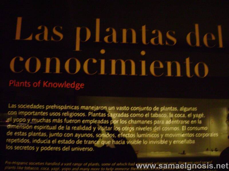 Museo del Oro Foto 174