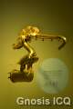 Museo del oro. Bogotá Colombia. Foto 009