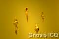 Museo del oro. Bogotá Colombia. Foto 035