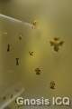 Museo del oro. Bogotá Colombia. Foto 032