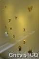 Museo del oro. Bogotá Colombia. Foto 045