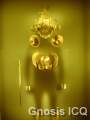 Museo del oro. Bogotá Colombia. Foto 167