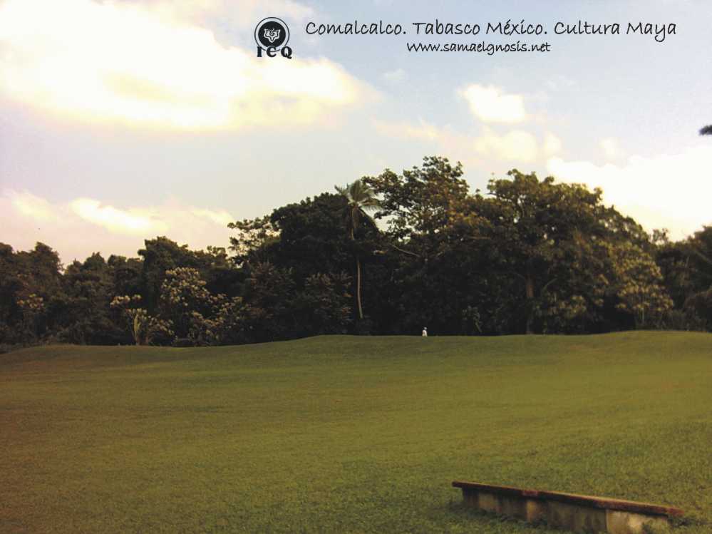 Zona Arqueológica de Comalcalco. Tabasco. México. Foto 15