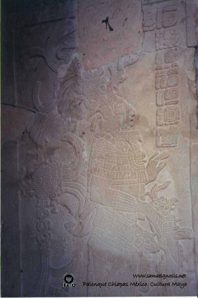 Palenque 10