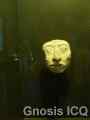Palenque 164
