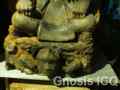 Palenque 233