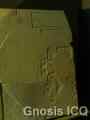 Palenque 258