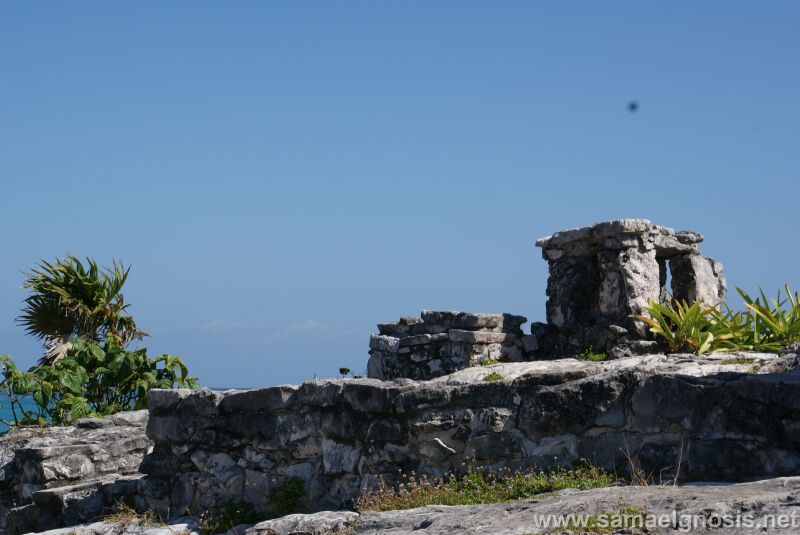 Tulum 102