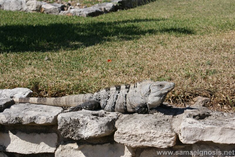 Tulum 18