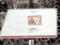 Templo Mayor 22