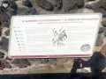 Templo Mayor 23
