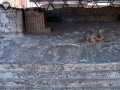 Templo Mayor 27