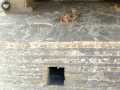 Templo Mayor 38