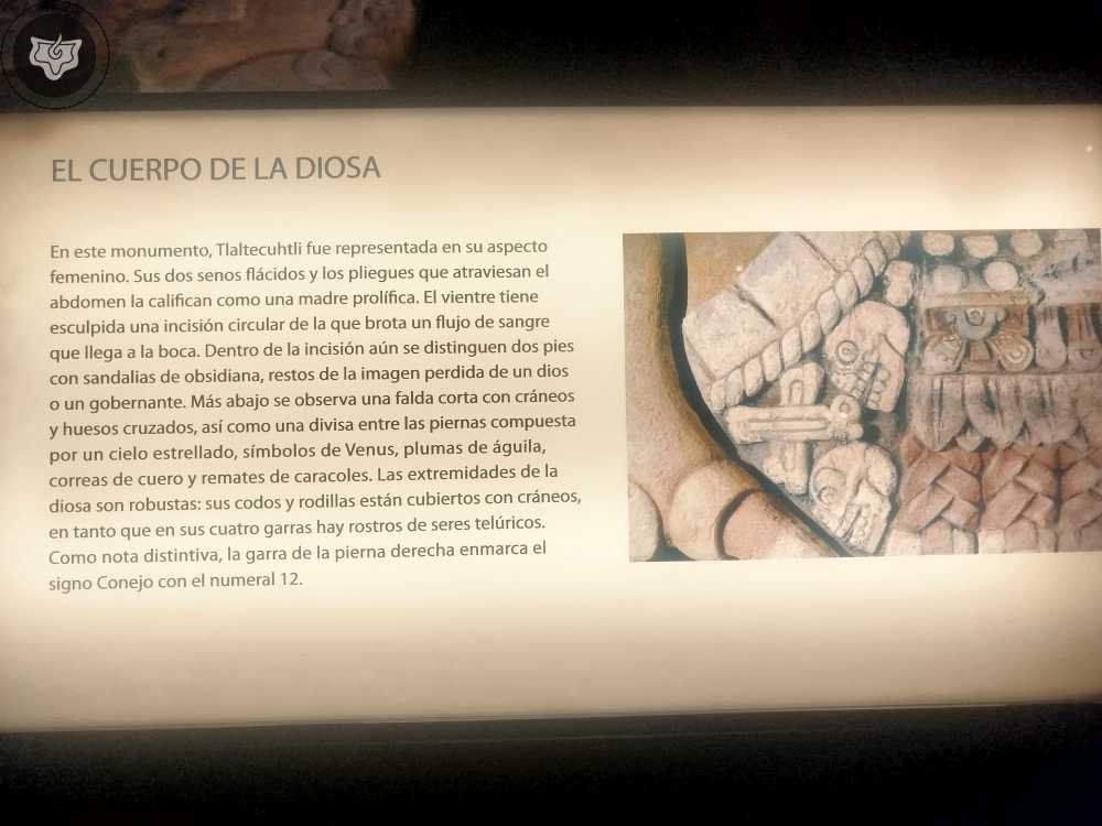 Templo Mayor Foto 0135