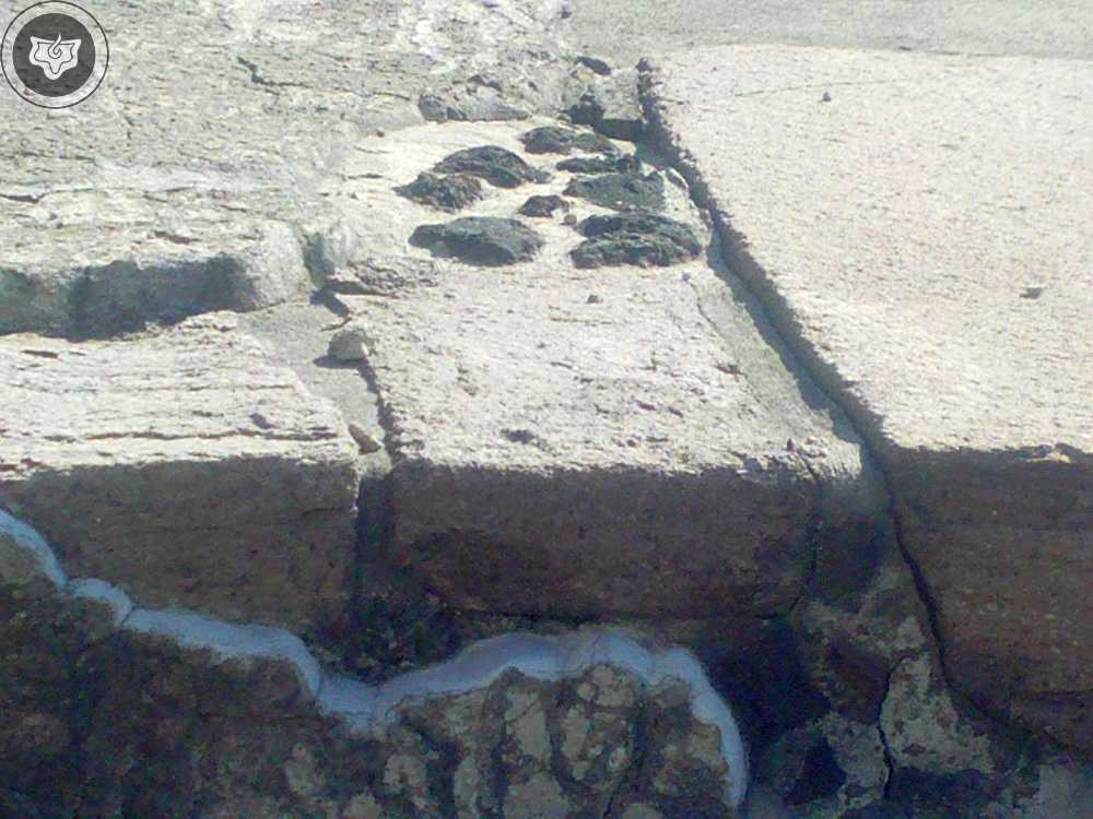 Templo Mayor Foto 0151