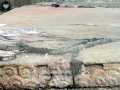 Templo Mayor 155