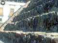 Templo Mayor 156