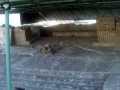 Templo Mayor 167