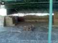 Templo Mayor 169