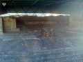 Templo Mayor 172