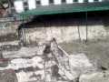Templo Mayor 176