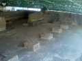 Templo Mayor 184