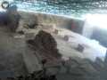 Templo Mayor 187