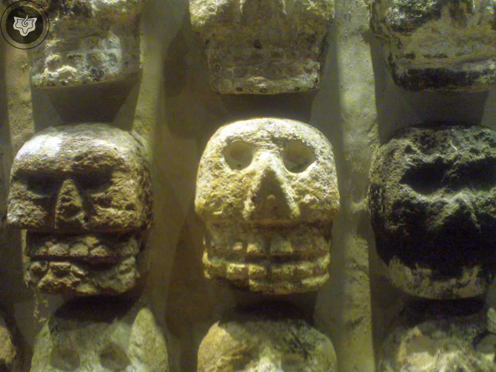 Templo Mayor Foto 0232