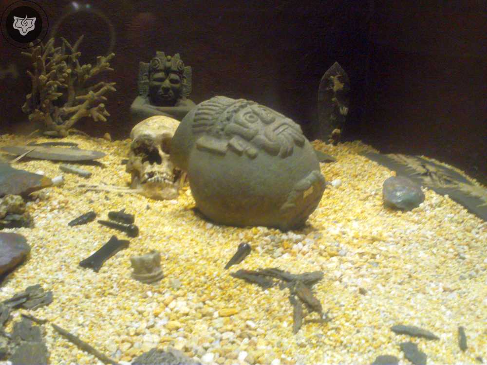 Templo Mayor Foto 0262