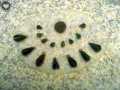 Templo Mayor 280
