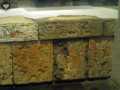Templo Mayor 291
