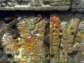 Templo Mayor 292