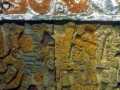 Templo Mayor 294