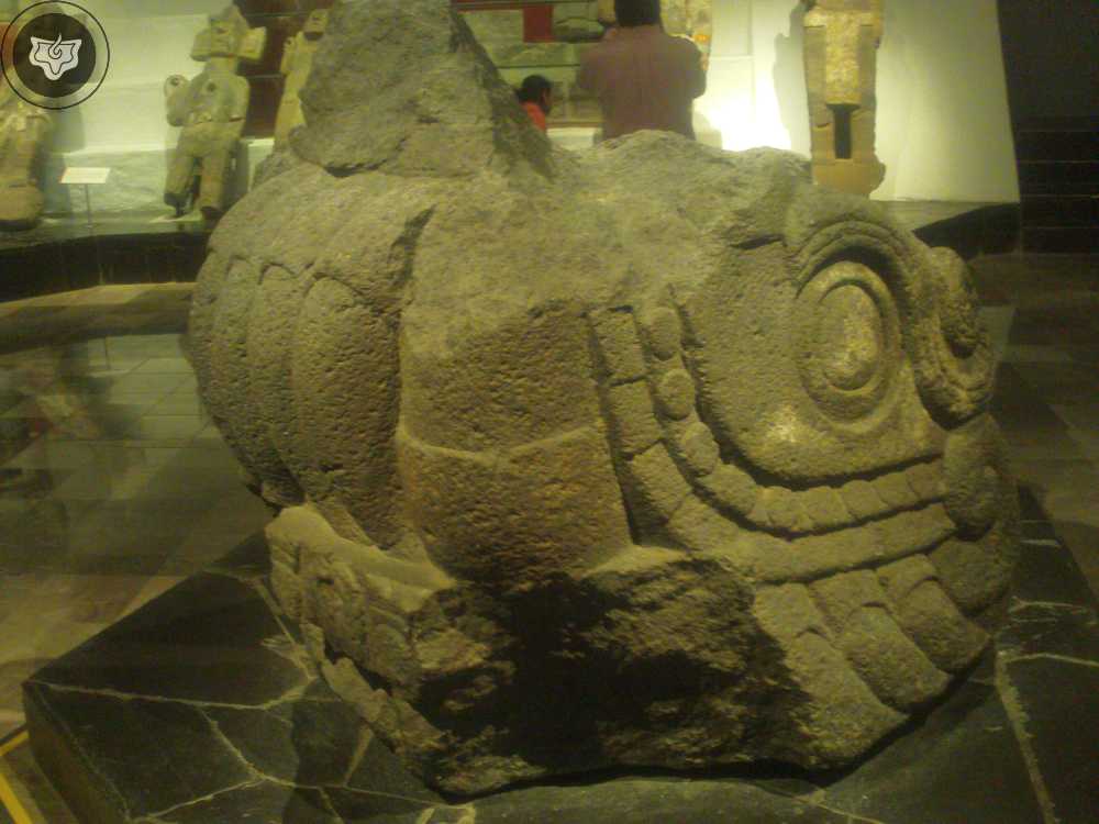 Templo Mayor Foto 0303