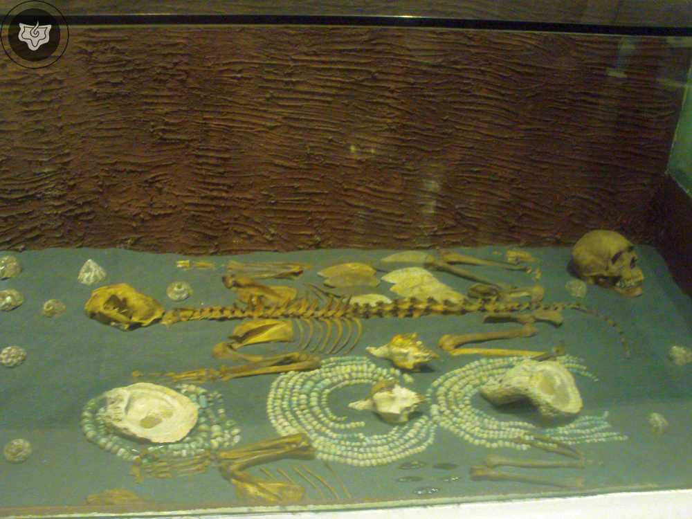 Templo Mayor Foto 0331