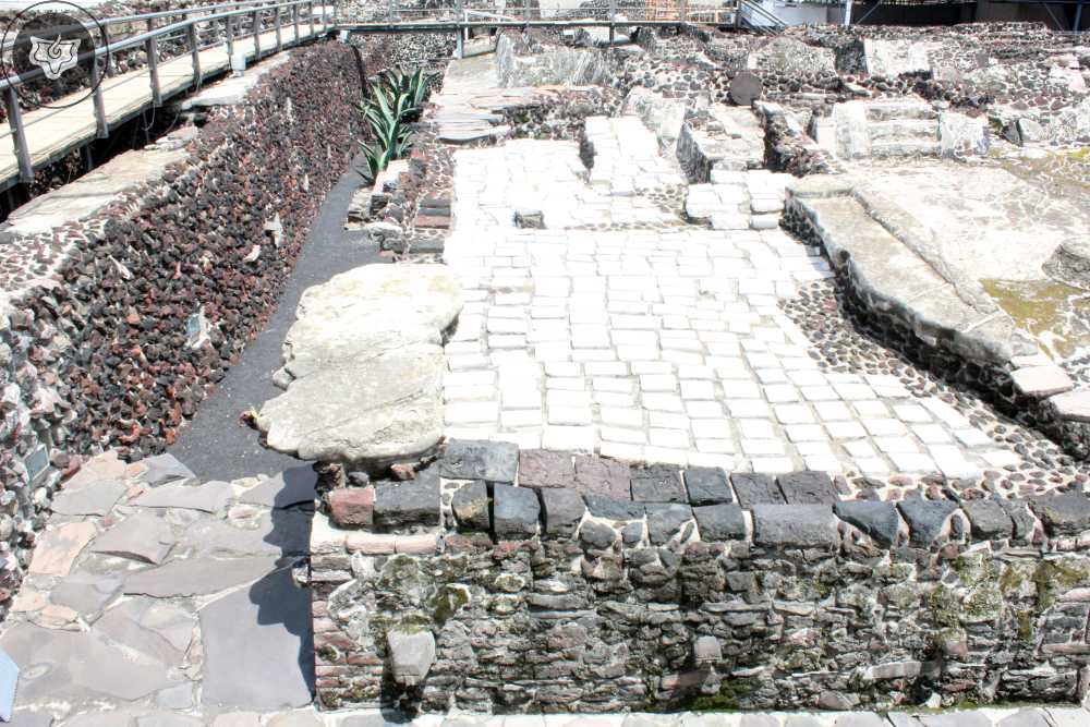 Templo Mayor Foto 0353