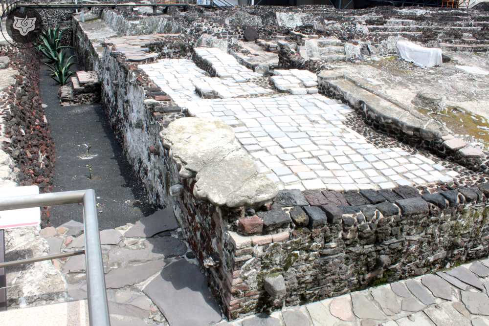 Templo Mayor Foto 0354