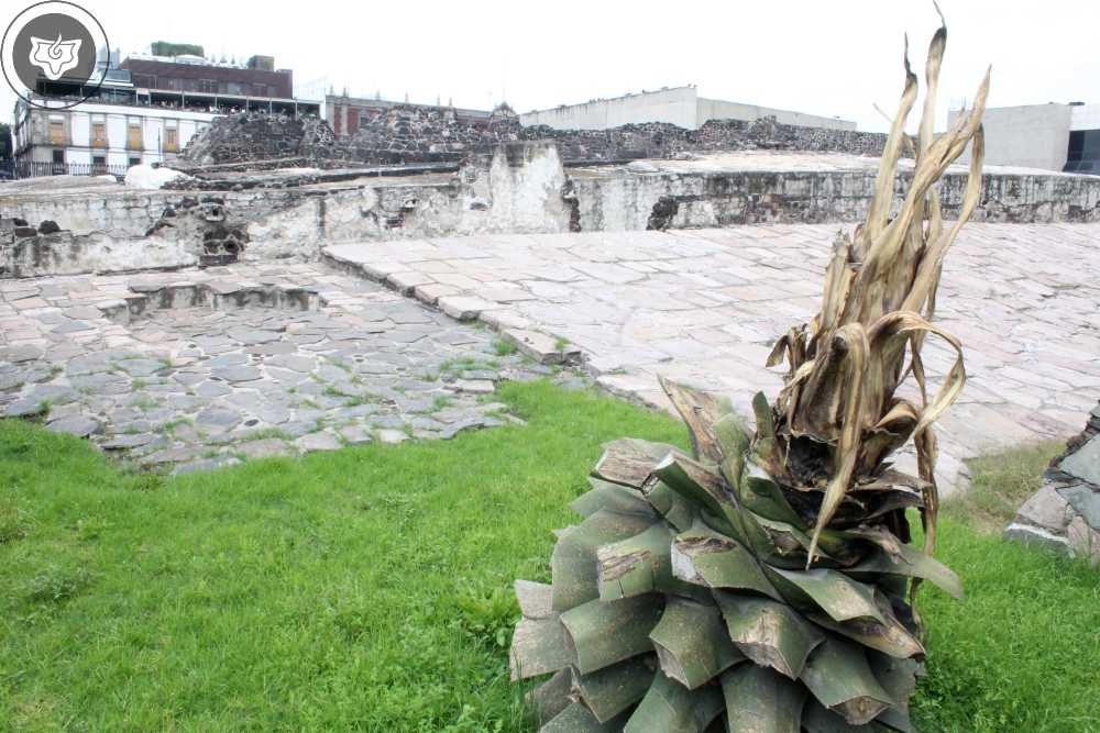 Templo Mayor Foto 0367