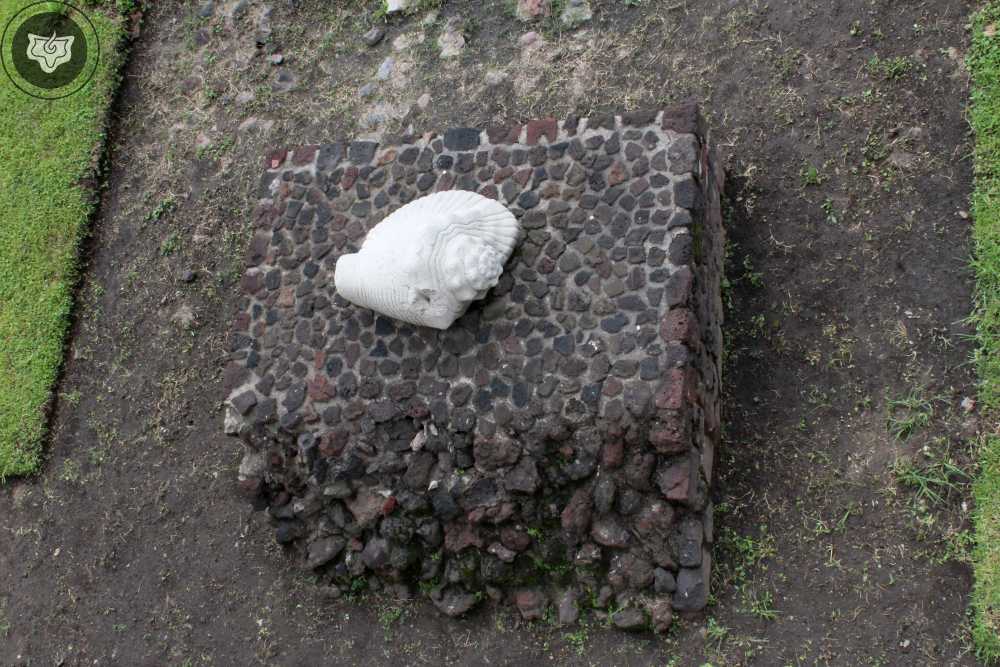 Templo Mayor Foto 0391