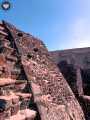 Templo Mayor 482