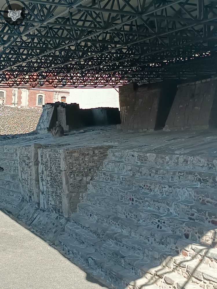 Templo Mayor Foto 0485